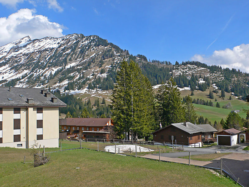 Parkhotel Arvenbühl