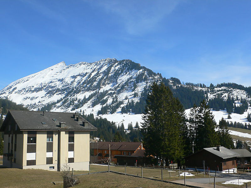 Parkhotel Arvenbühl