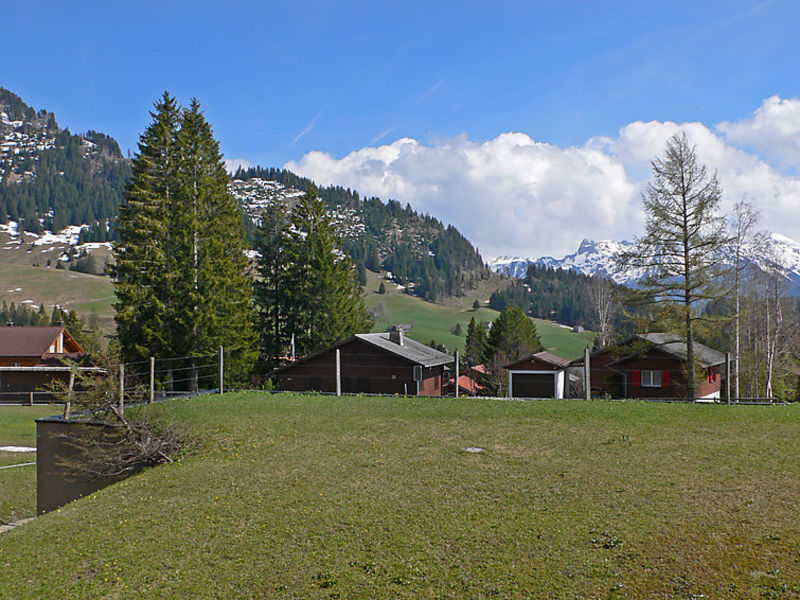 Parkhotel Arvenbühl