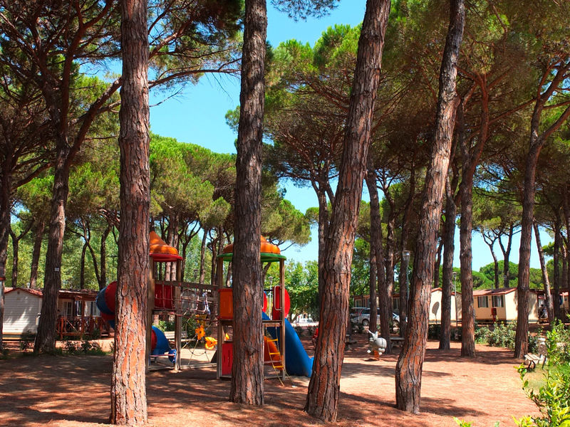 Camping Pineta sul mare