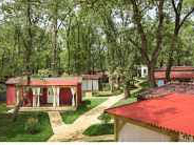 Aminess RELAX Village - Holiday Homes Park Mareda Campsite