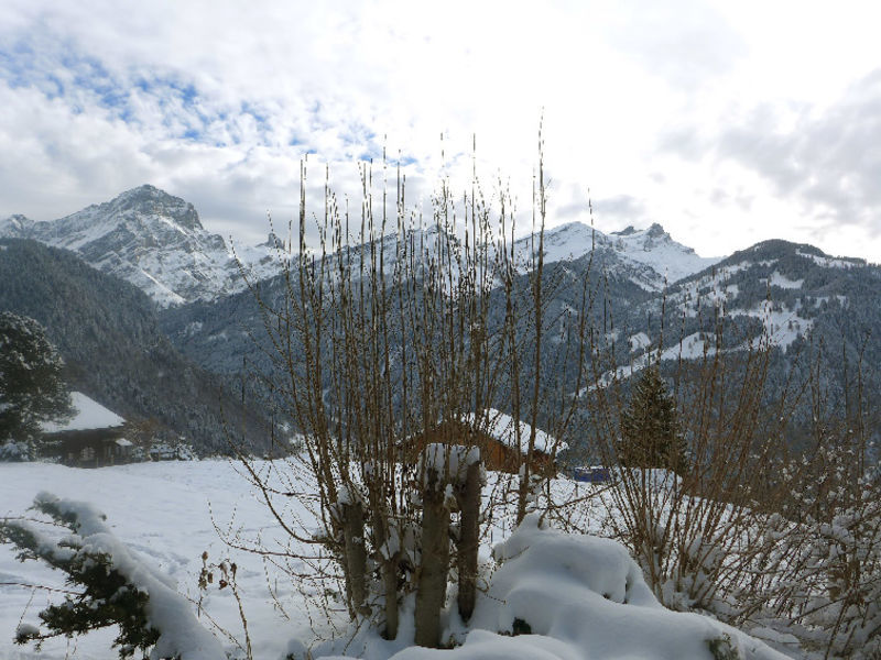 Chalet Blanche Neige