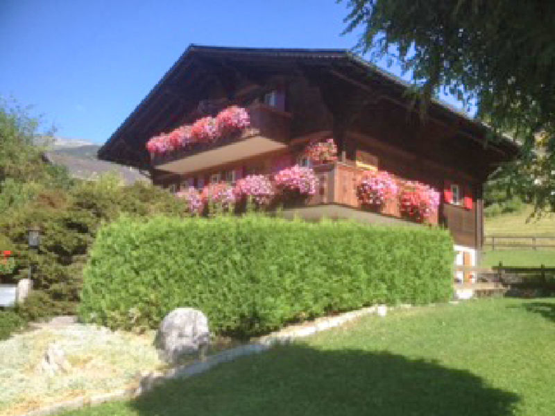 Chalet Olpa