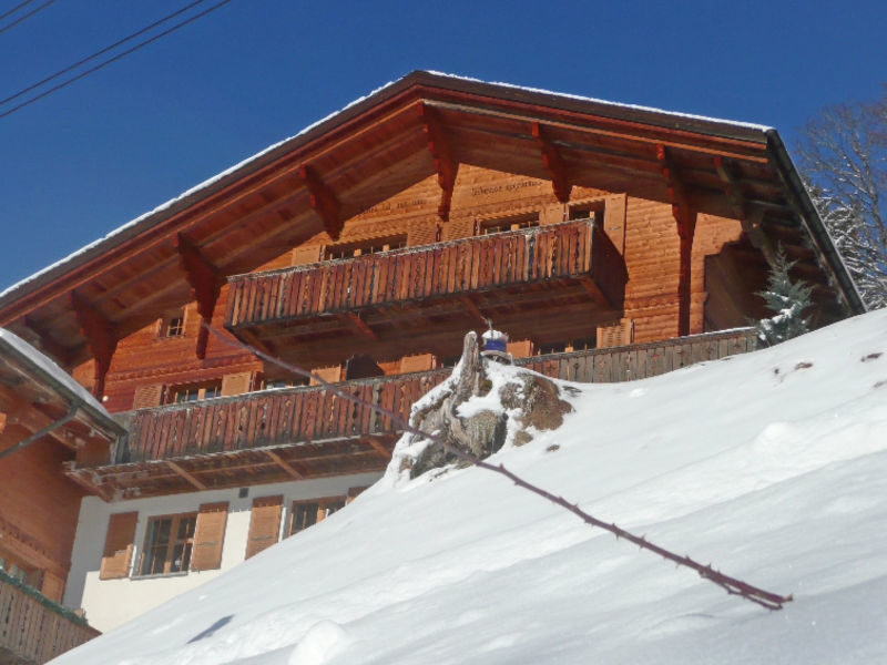 Chalet Bluemewäg