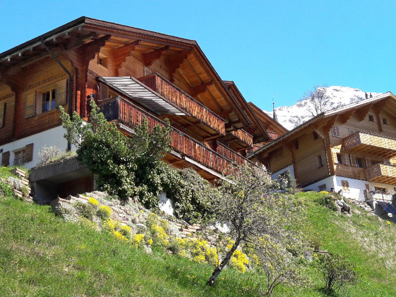 Chalet Bluemewäg