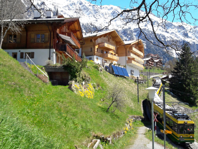 Chalet Bluemewäg