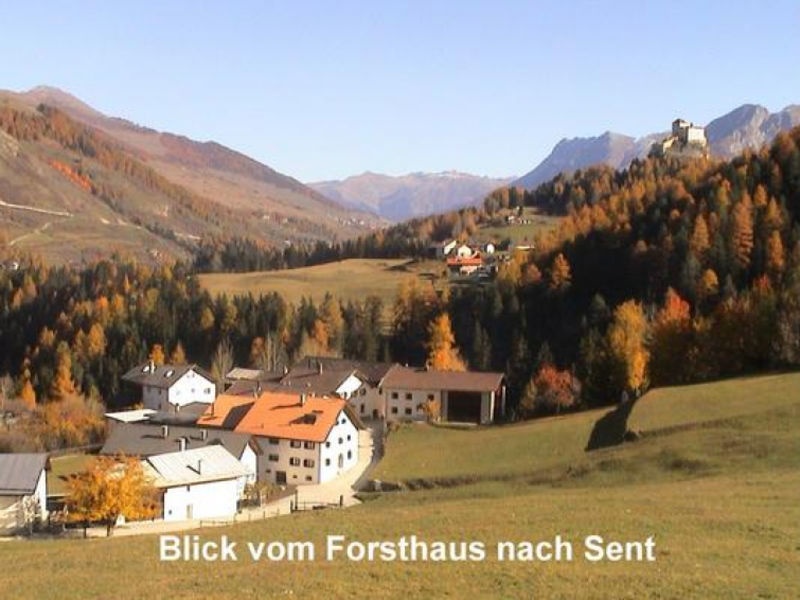 Ferienwohnung Forsthaus Falkenstein