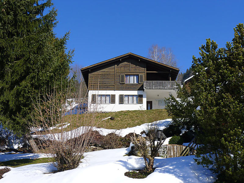 Chalet Stöckenweidstrasse