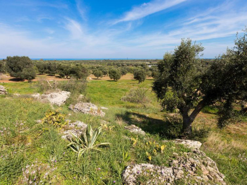 Trullo Padalino - Ostuni