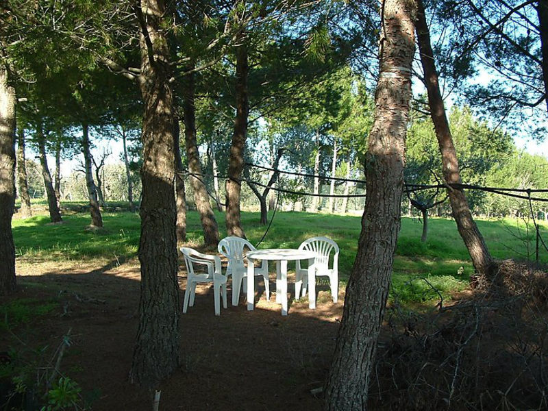 Trullo Padalino - Ostuni