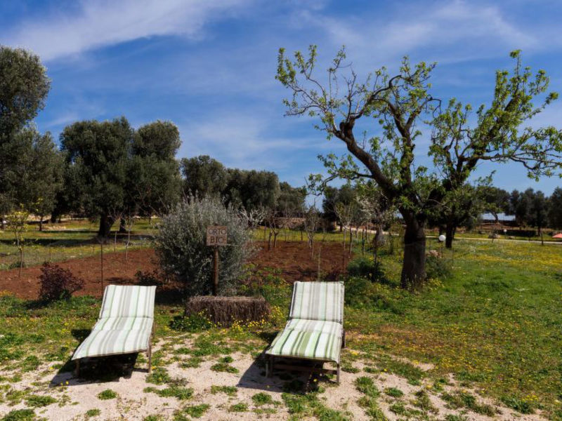 Trullo Padalino - Ostuni