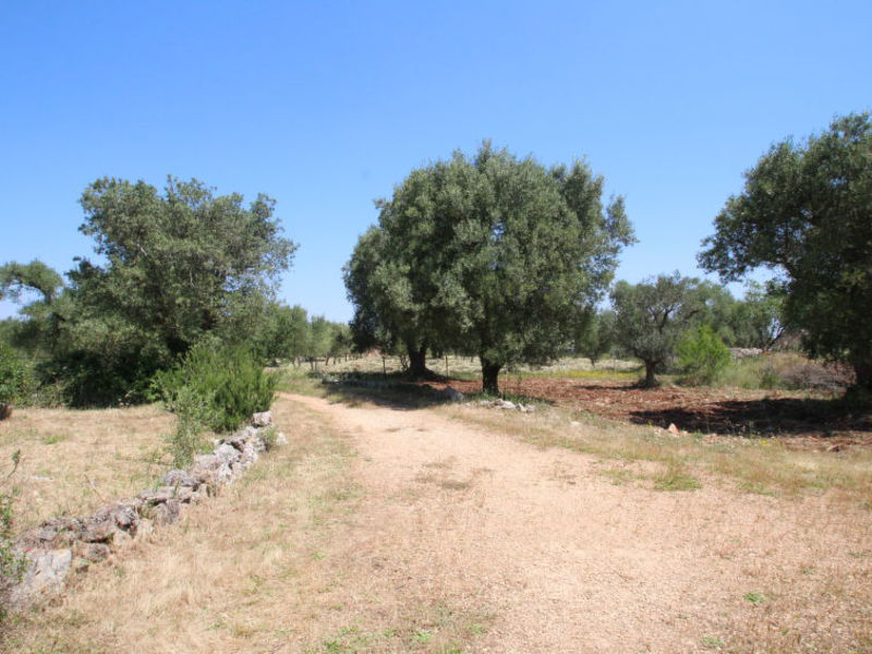 Trullo Selva