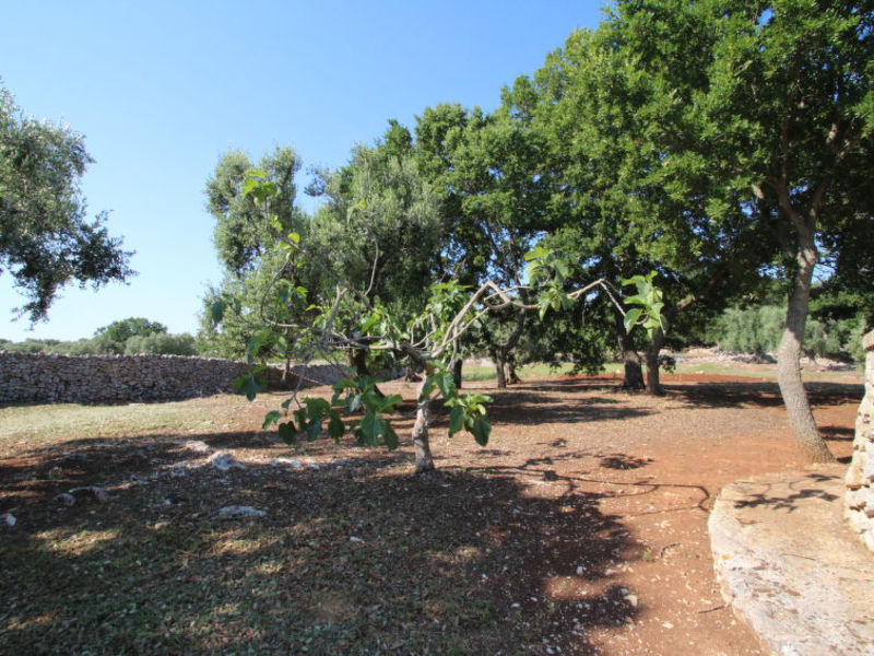 Trullo Antico