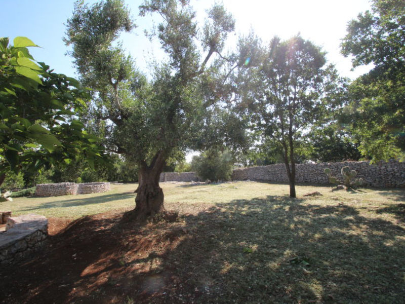 Trullo Antico