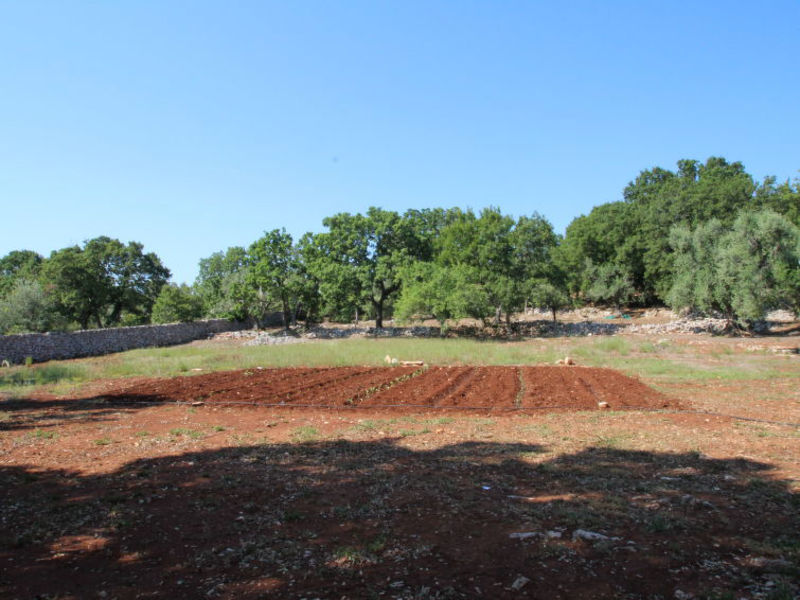 Trullo Camino