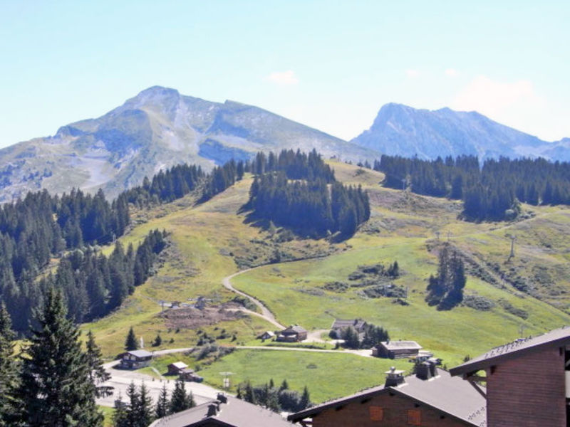 Les Maisons Des Bois