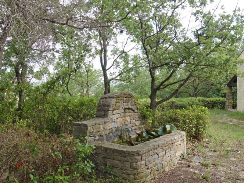 Le Petit St Côme