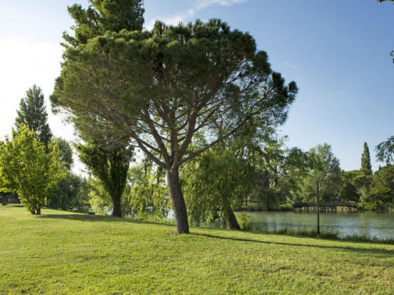 De Camargue