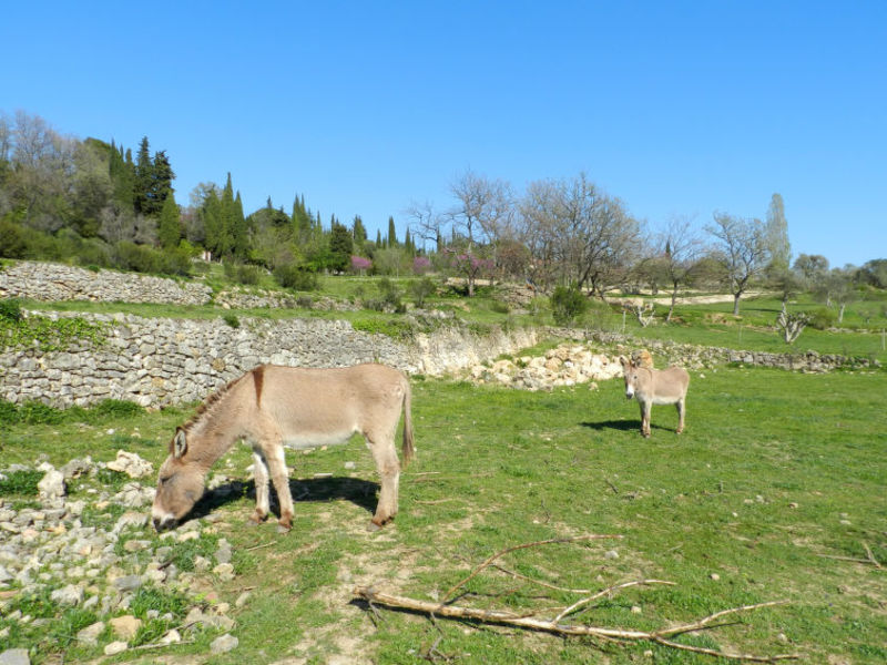 Villa L'Aigo Vivo