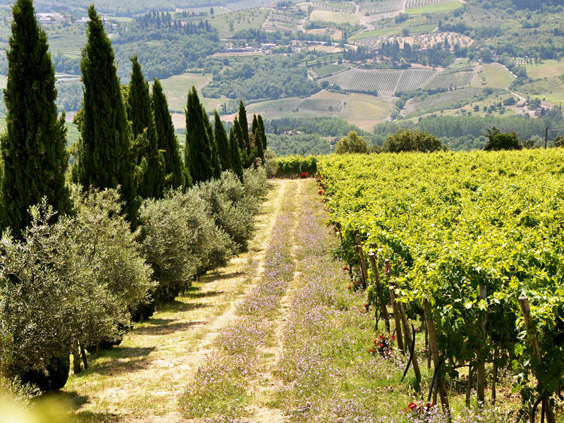 Borgo di Castelvecchi